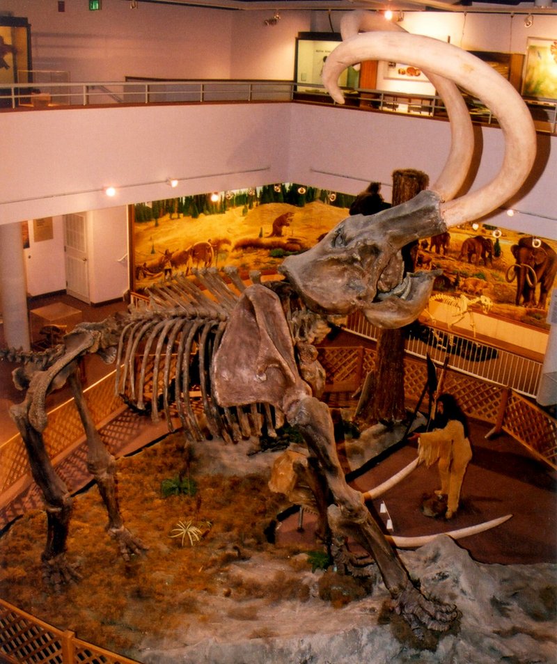 mammoth; DISPLAY FULL IMAGE.