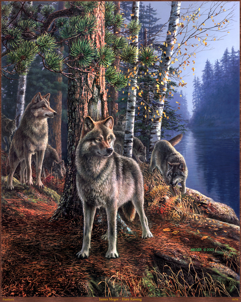 Panthera_0654_James_Meger_Hare_Raising; DISPLAY FULL IMAGE.