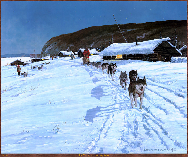 Panthera_0679_Jon_Van_Zyle_Leaving_Ruby; DISPLAY FULL IMAGE.