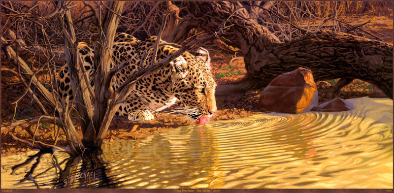 Panthera_0686_Greg_Beecham_The_Midas_Touch; DISPLAY FULL IMAGE.