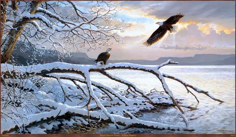 Panthera_0689_Persis_Clayton_Weirs_Winter_Majesty; DISPLAY FULL IMAGE.
