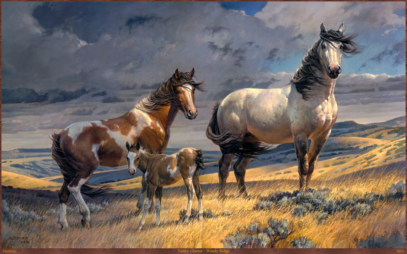 Panthera_0699_Nancy_Glazier_Windy_Ridge; DISPLAY FULL IMAGE.