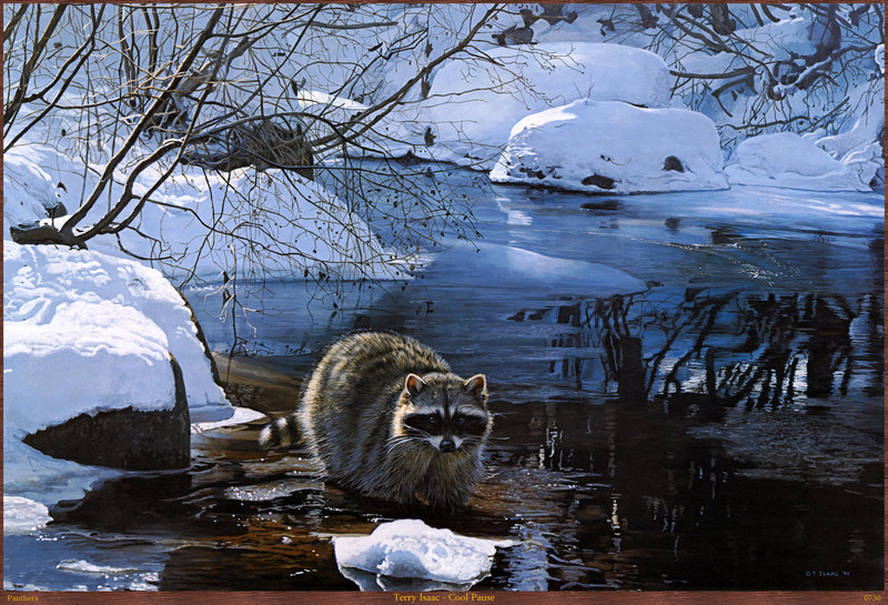 Panthera_0730_Terry_Isaac_Cool_Pause; DISPLAY FULL IMAGE.