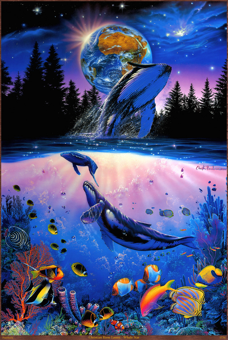 Panthera_0734_Christian_Riese_Lassen_Whale_Star; DISPLAY FULL IMAGE.