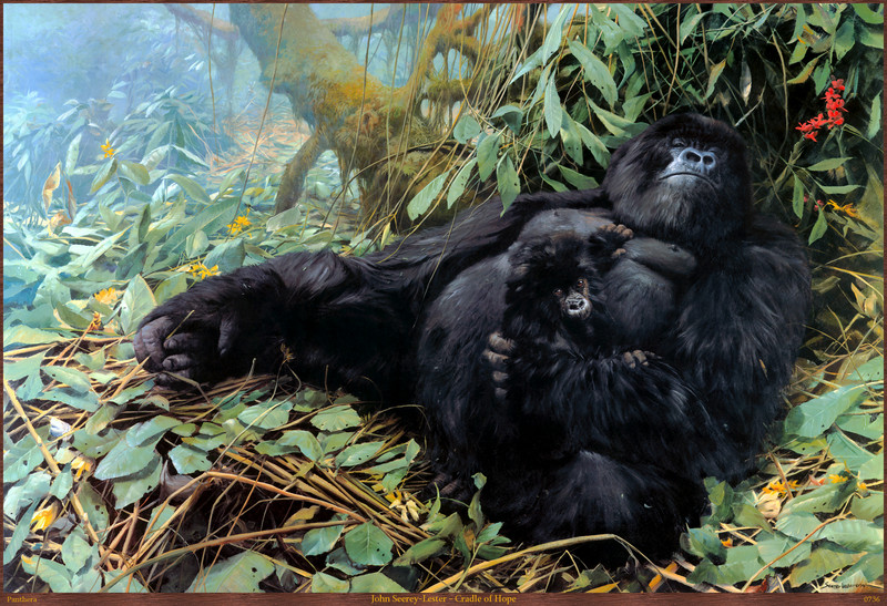 Panthera_0736_John_Seerey-Lester_Cradle_of_Hope; DISPLAY FULL IMAGE.