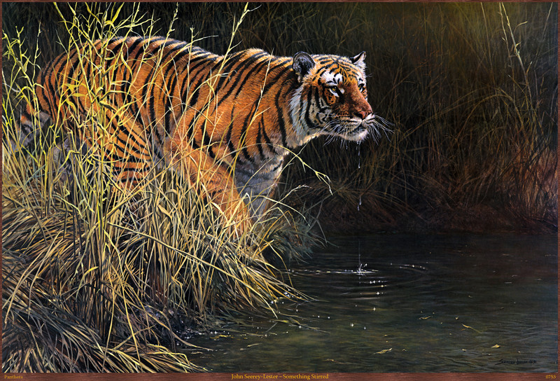 Panthera_0753_John_Seerey-Lester_Something_Stirred; DISPLAY FULL IMAGE.