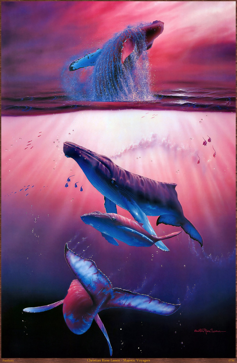 Panthera_0756_Christian_Riese_Lassen_Majestic_Voyagers; DISPLAY FULL IMAGE.