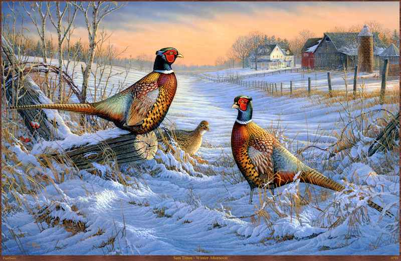 Panthera_0759_Sam_Timm_Winter_Afternoon; DISPLAY FULL IMAGE.