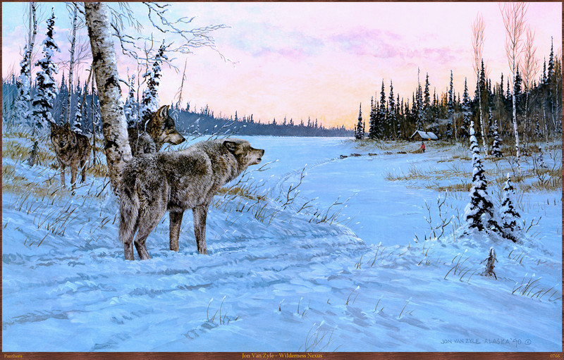 Panthera_0766_Jon_Van_Zyle_Wilderness_Nexus; DISPLAY FULL IMAGE.