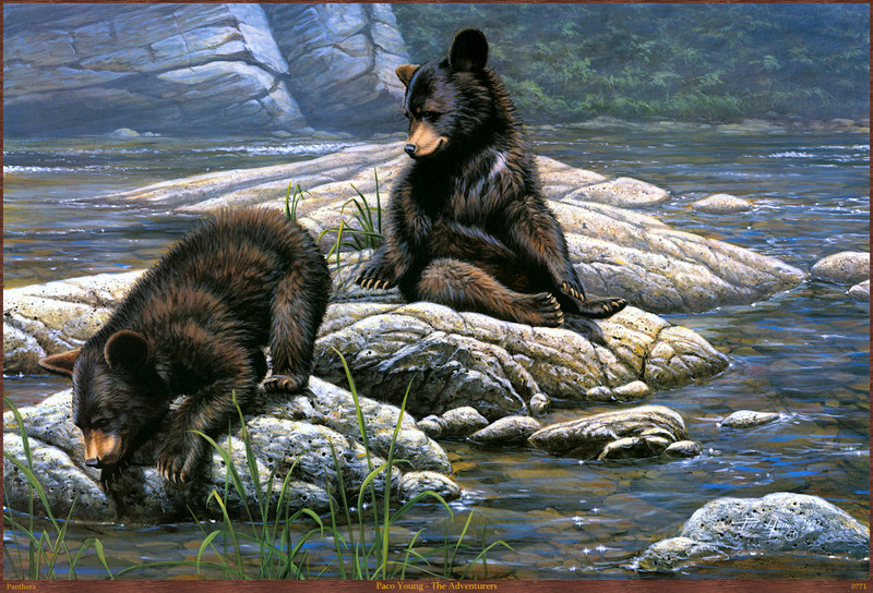 Panthera_0771_Paco_Young_The_Adventurers; DISPLAY FULL IMAGE.