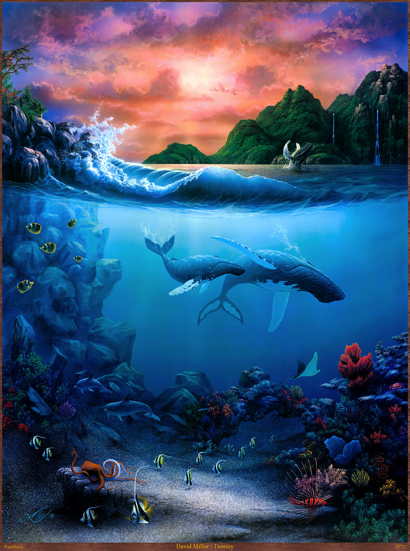 Panthera_0772_David_Miller_Destiny; DISPLAY FULL IMAGE.