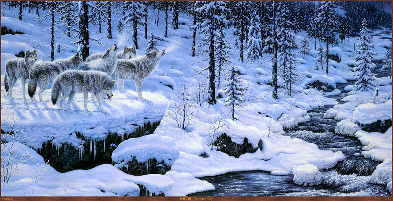 Panthera_0784_Jeff_Tift_Winters_Cry; DISPLAY FULL IMAGE.