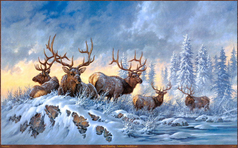 Panthera_0787_Larry_Fanning_Solstice_Rendezvous; DISPLAY FULL IMAGE.