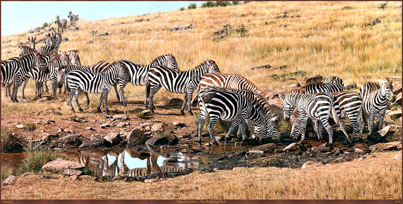 Panthera_0797_Simon_Combes_The_Watering_Hole; DISPLAY FULL IMAGE.