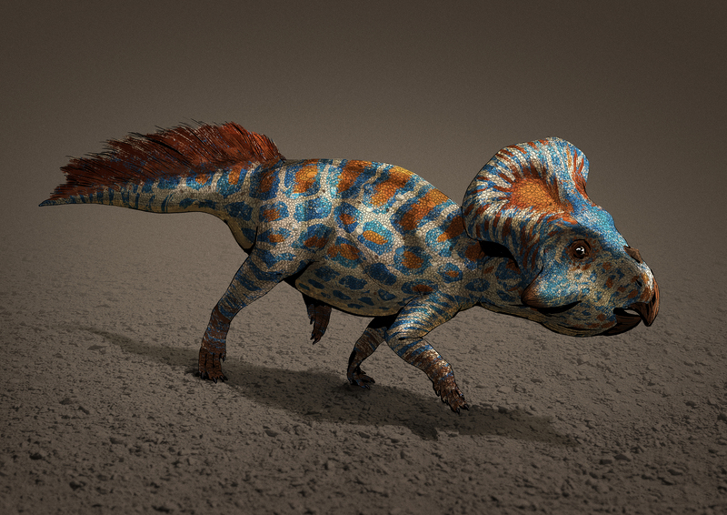 Protoceratops andrewsi illustration; DISPLAY FULL IMAGE.
