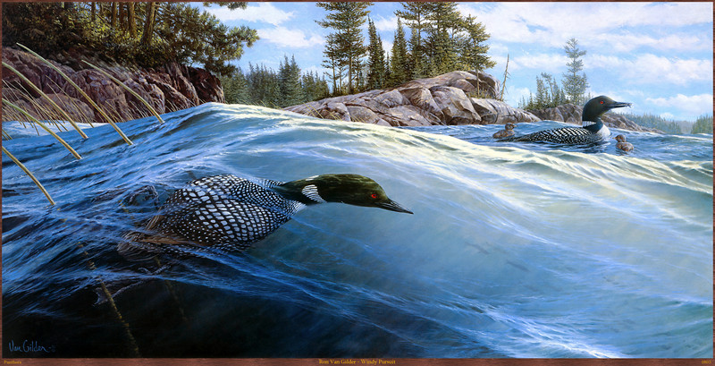 Panthera_0803_Ron_Van_Gilder_Windy_Pursuit; DISPLAY FULL IMAGE.
