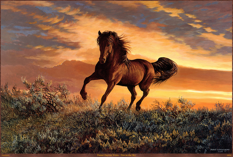 Panthera_0804_Persis_Clayton_Weirs_Fire_in_the_Sky; DISPLAY FULL IMAGE.