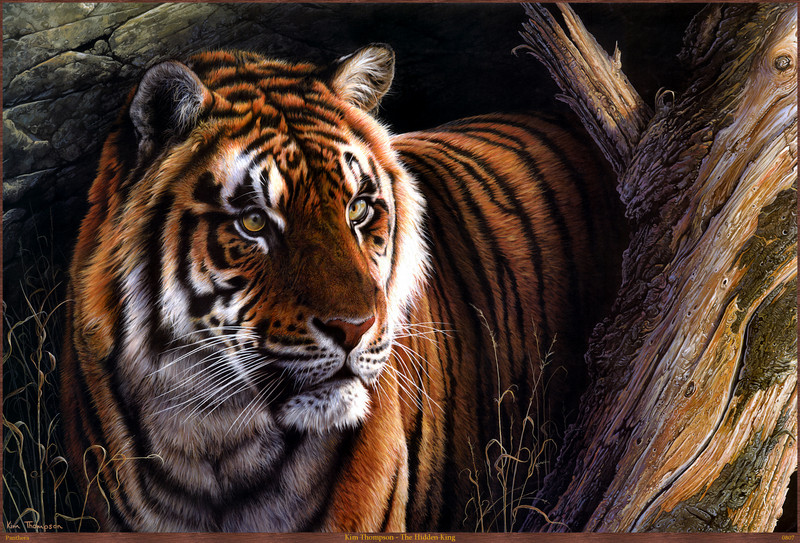 Panthera_0807_Kim_Thompson_The_Hidden_King; DISPLAY FULL IMAGE.