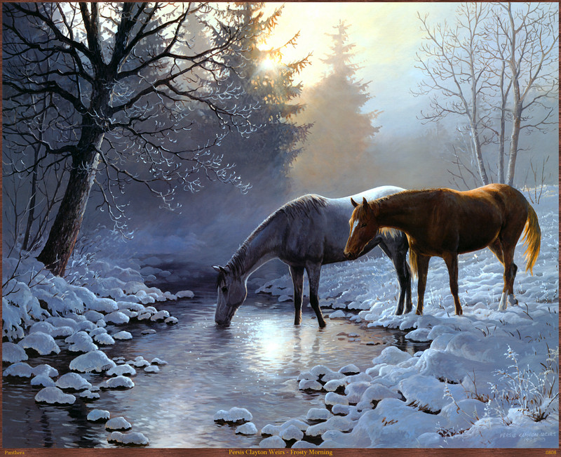 Panthera_0808_Persis_Clayton_Weirs_Frosty_Morning; DISPLAY FULL IMAGE.
