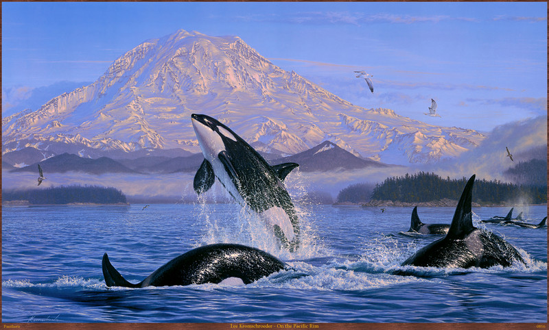 Panthera_0816_Lee_Kromschroeder_On_the_Pacific_Rim; DISPLAY FULL IMAGE.