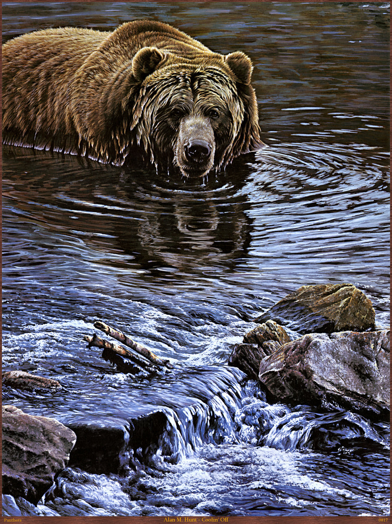 Panthera_0817_Alan_M._Hunt_Coolin_Off; DISPLAY FULL IMAGE.