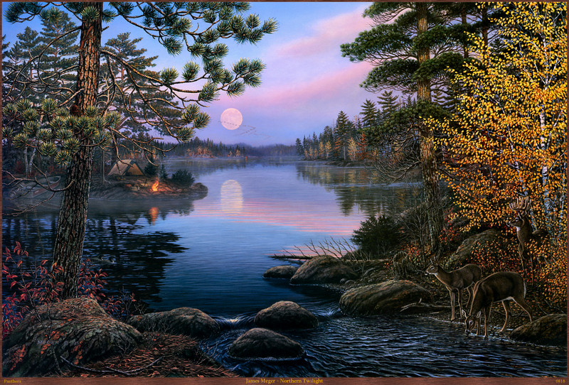 Panthera_0818_James_Meger_Northern_Twilight; DISPLAY FULL IMAGE.