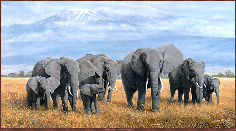 Panthera_0822_Charles_Frace_Treasures_of_Africa; DISPLAY FULL IMAGE.