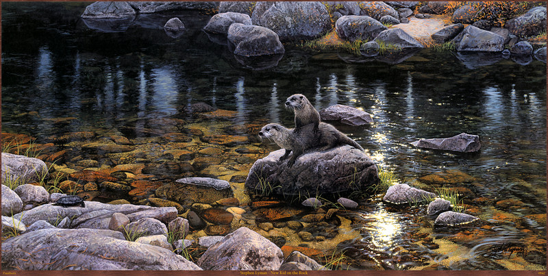 Panthera_0842_Stephen_Lyman_New_Kid_on_the_Rock; DISPLAY FULL IMAGE.