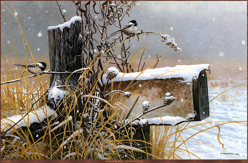 Panthera_0856_Michael_Budden_Special_Delivery; DISPLAY FULL IMAGE.