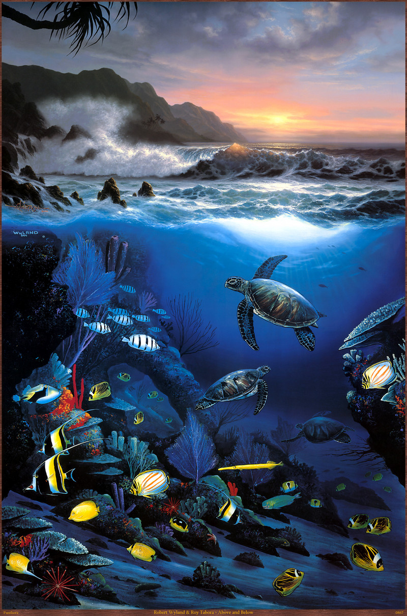 Panthera_0867_Robert_Wyland_&_Roy_Tabora_Above_and_Below; DISPLAY FULL IMAGE.