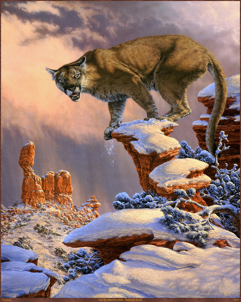Panthera_0878_Lee_Kromschroeder_Balance_Rock; DISPLAY FULL IMAGE.