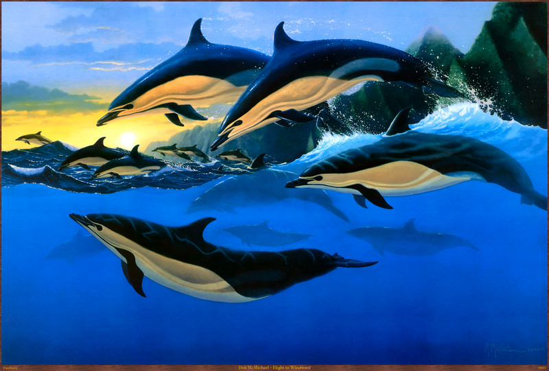 Panthera_0883_Don_McMichael_Flight_to_Windward; DISPLAY FULL IMAGE.