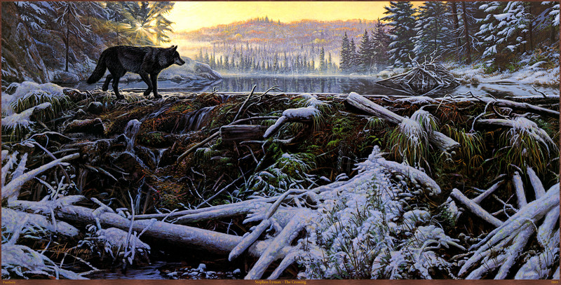 Panthera_0885_Stephen_Lyman_The_Crossing; DISPLAY FULL IMAGE.