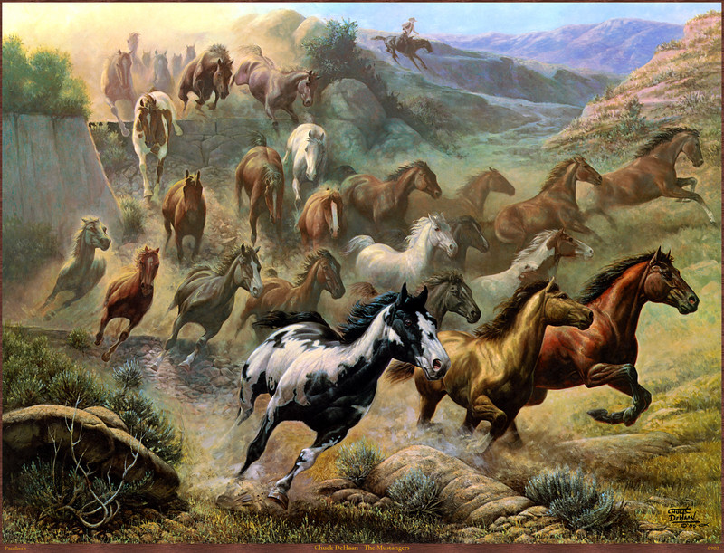 Panthera_0903_Chuck_DeHaan_The_Mustangers; DISPLAY FULL IMAGE.