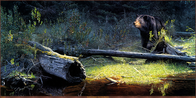Panthera_0904_Brent_Townsend_Out_of_the_Shadows; DISPLAY FULL IMAGE.