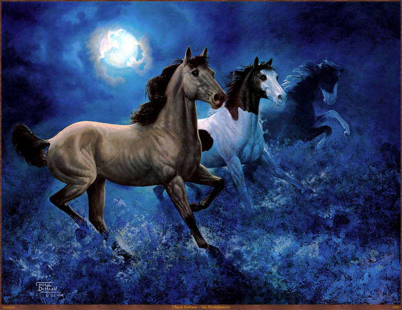 Panthera_0909_Chuck_DeHaan_The_Moondancers; DISPLAY FULL IMAGE.