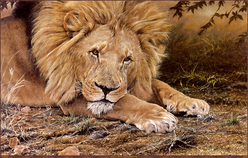 Panthera_0924_Alan_M._Hunt_Of_Victories_Past; DISPLAY FULL IMAGE.