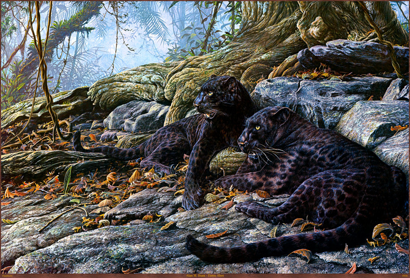 Panthera_0936_Alan_M._Hunt_Dawn_Alert; DISPLAY FULL IMAGE.