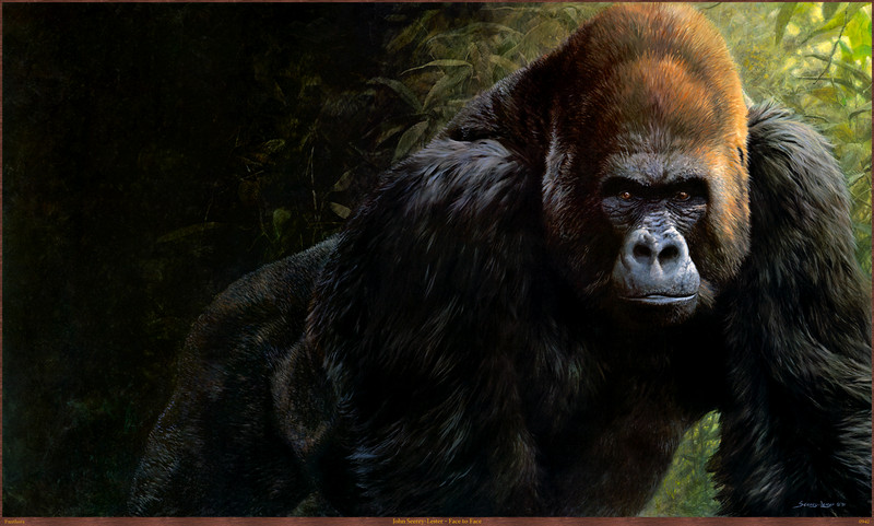 Panthera_0942_John_Seerey-Lester_Face_to_Face; DISPLAY FULL IMAGE.