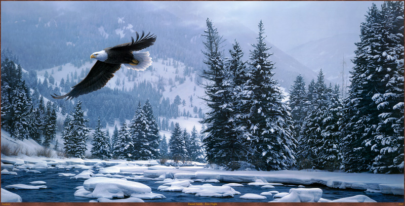 Panthera_0945_Daniel_Smith_Free_Flight; DISPLAY FULL IMAGE.
