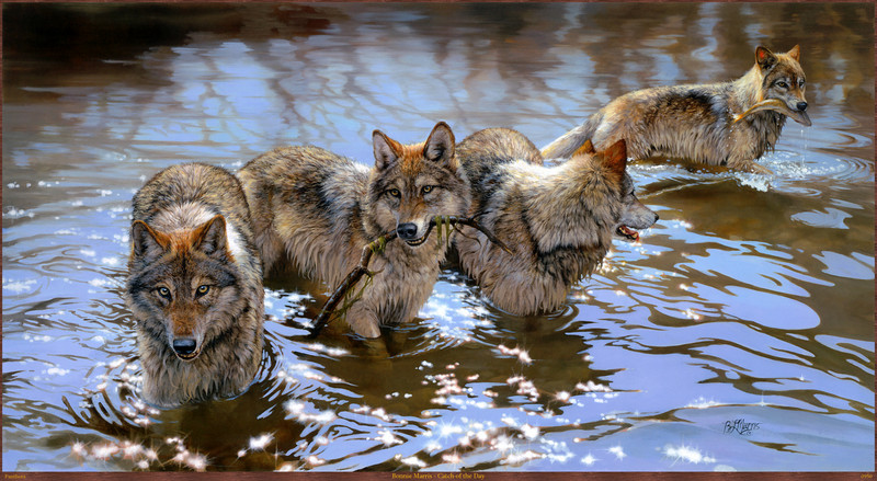 Panthera_0950_Bonnie_Marris_Catch_of_the_Day; DISPLAY FULL IMAGE.