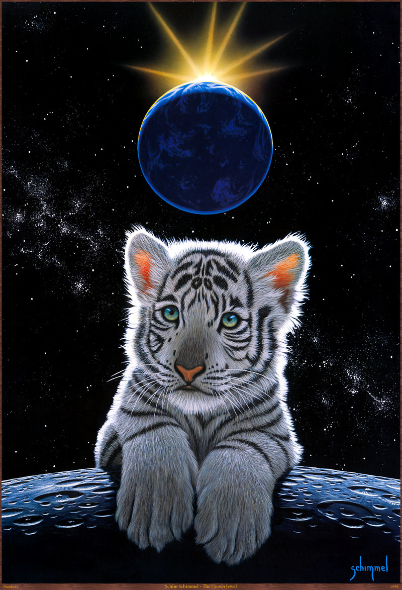 Panthera_0958_Schim_Schimmel_The_Crown_Jewel; DISPLAY FULL IMAGE.