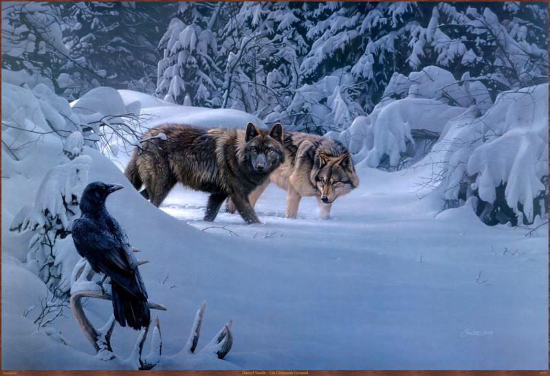 Panthera_0959_Daniel_Smith_On_Common_Ground; DISPLAY FULL IMAGE.