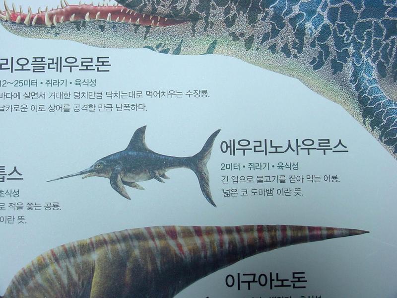 [공룡] 에우리노사우루스(Eurhinosaurus); DISPLAY FULL IMAGE.