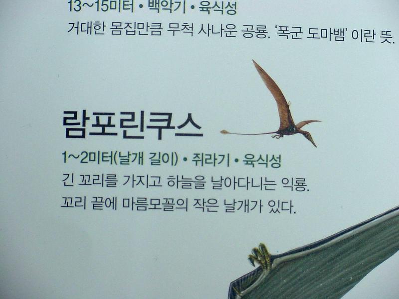 [공룡] 람포린쿠스(Rhamphorhynchus); DISPLAY FULL IMAGE.