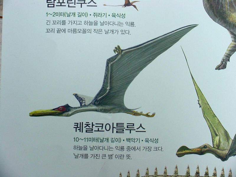 [공룡] 퀘찰코아틀루스(Quetzalcoatlus); DISPLAY FULL IMAGE.