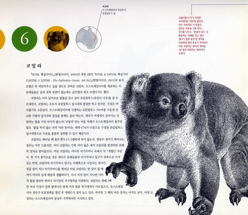O'REILLY Calendar 2001-06 코알라; DISPLAY FULL IMAGE.