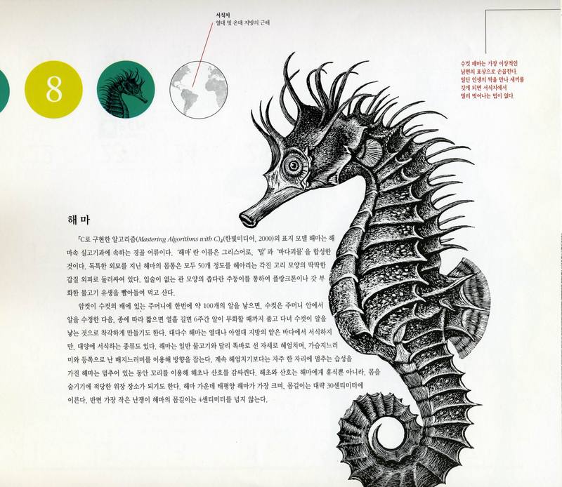 O'REILLY Calendar 2001-08 해마; DISPLAY FULL IMAGE.