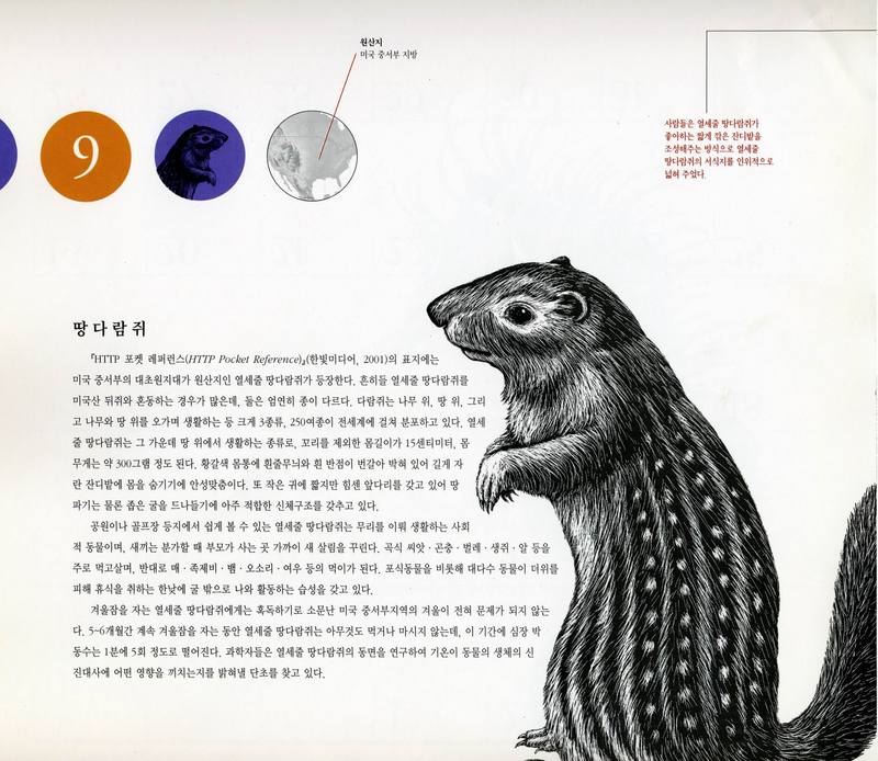 O'REILLY Calendar 2001-09 열세줄땅다람쥐; DISPLAY FULL IMAGE.