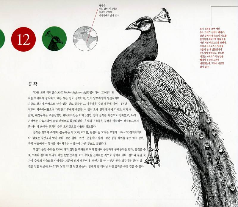 O'REILLY Calendar 2001-12 공작; DISPLAY FULL IMAGE.